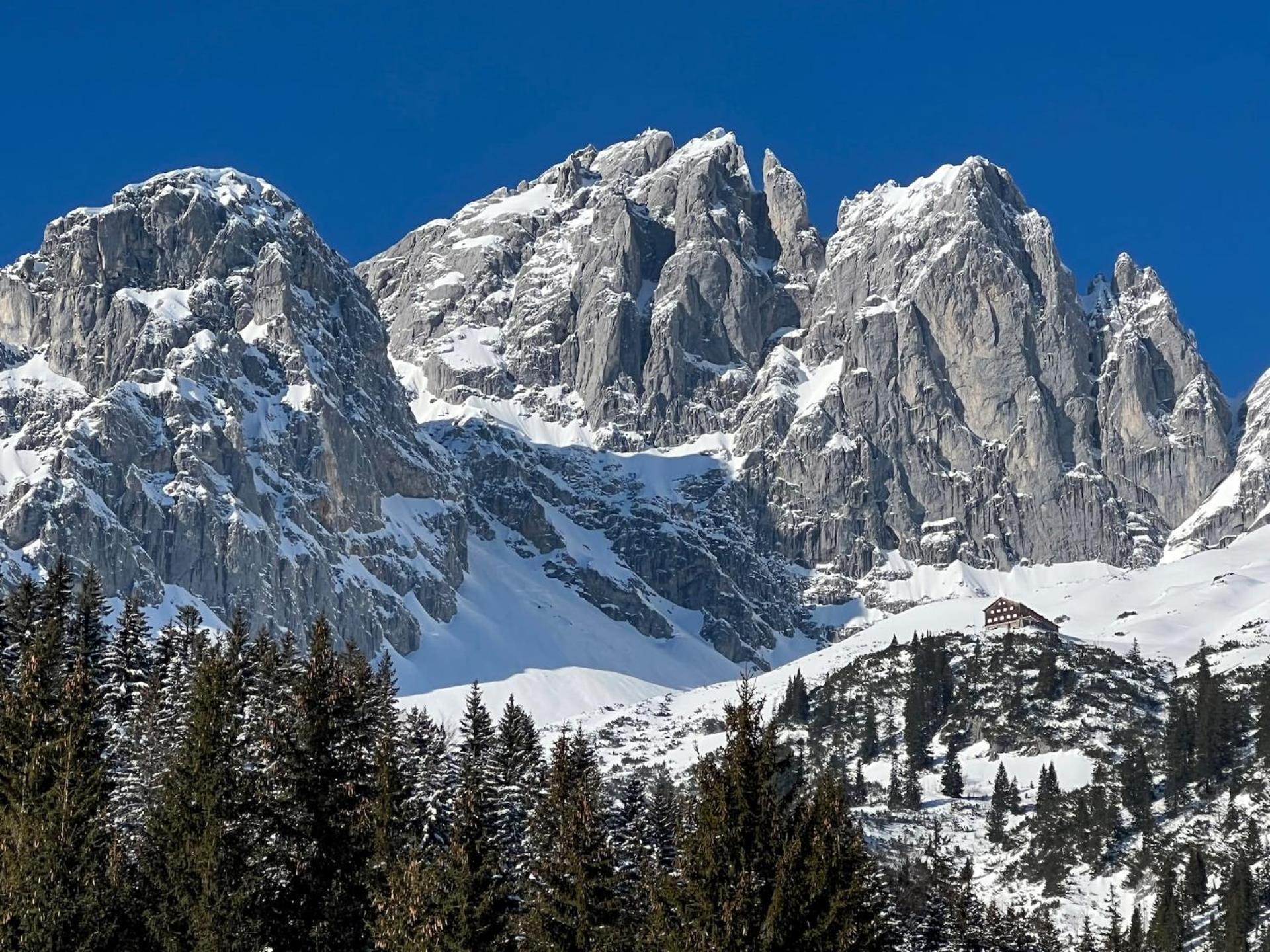 Geniessen Sie Bergblick & Sauna Im Modernen Chalet Going am Wilden Kaiser 外观 照片