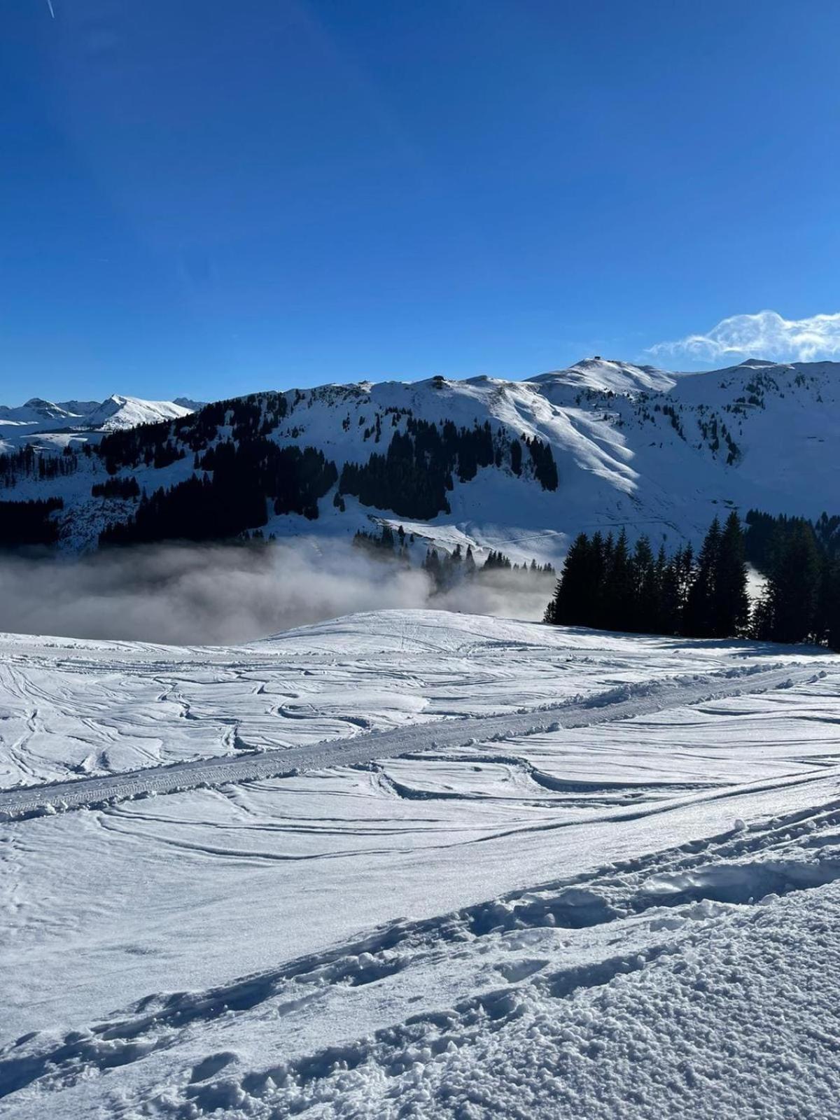 Geniessen Sie Bergblick & Sauna Im Modernen Chalet Going am Wilden Kaiser 外观 照片